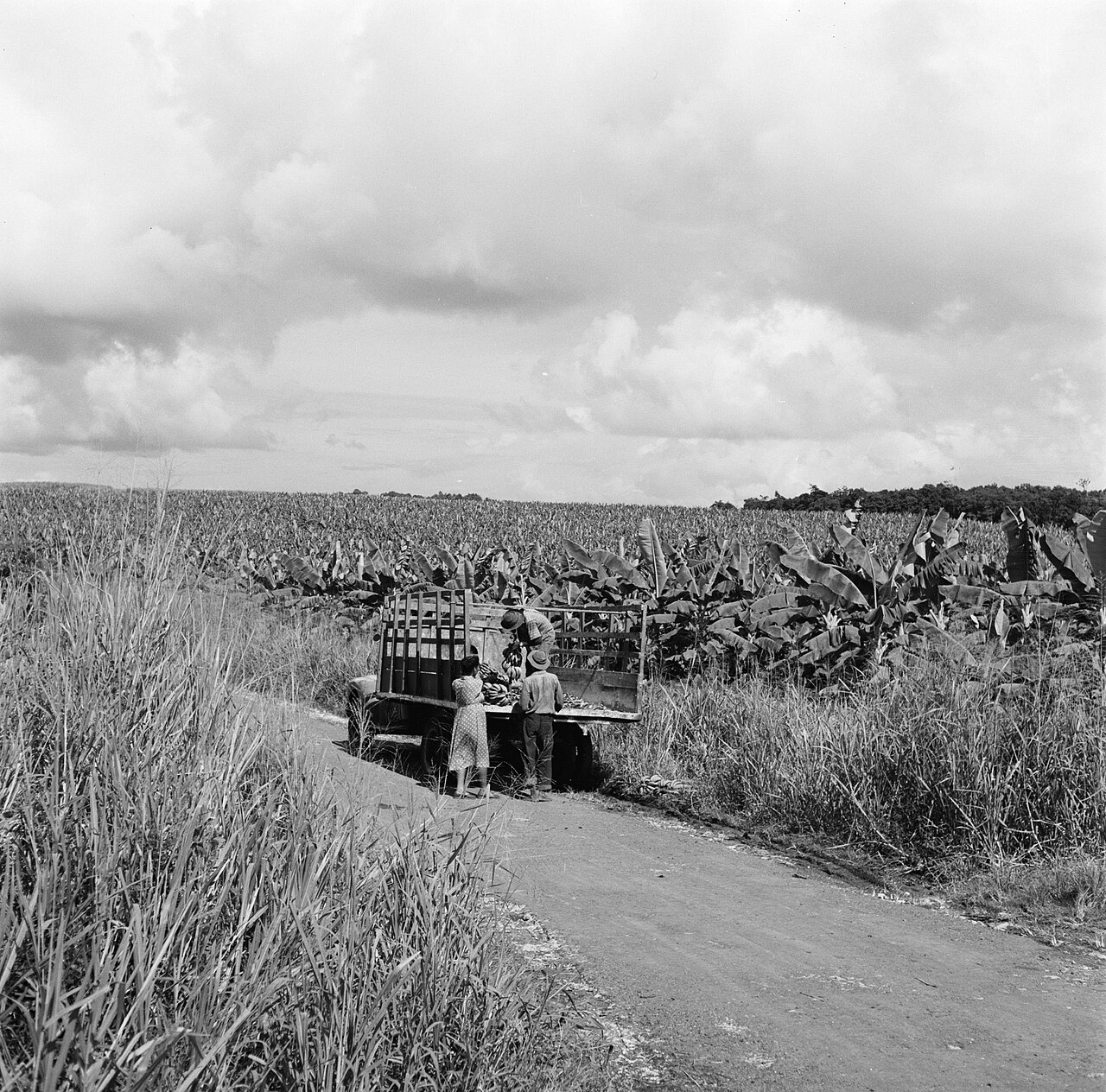 Guadeloupe