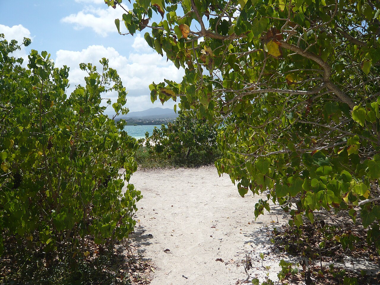 Guadeloupe